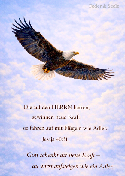 Feder & Seele - Glaubensimpulskarten - Dein stiller Begleiter (15 Herzensbotschaften |  PDF-Download)