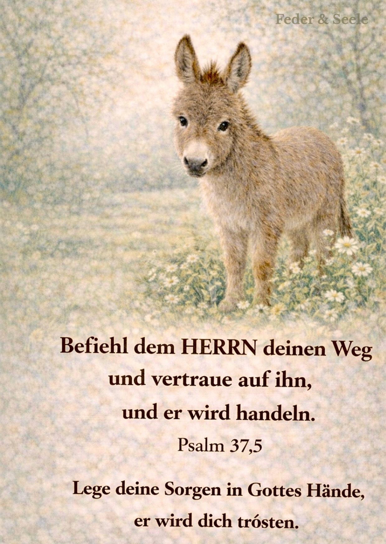 Feder & Seele - Glaubensimpulskarten - Dein stiller Begleiter (15 Herzensbotschaften |  PDF-Download)