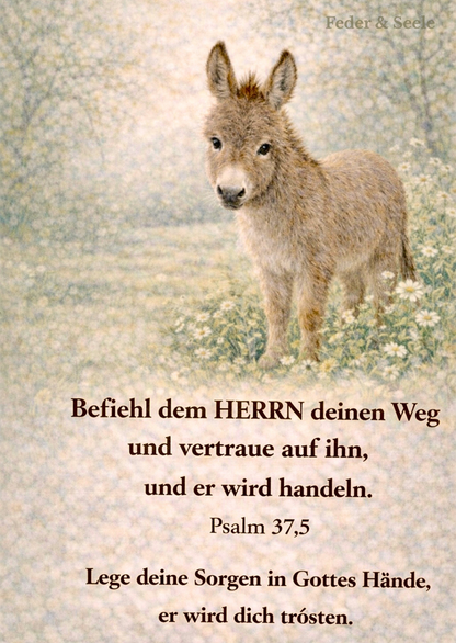 Feder & Seele - Glaubensimpulskarten - Dein stiller Begleiter (15 Herzensbotschaften |  PDF-Download)