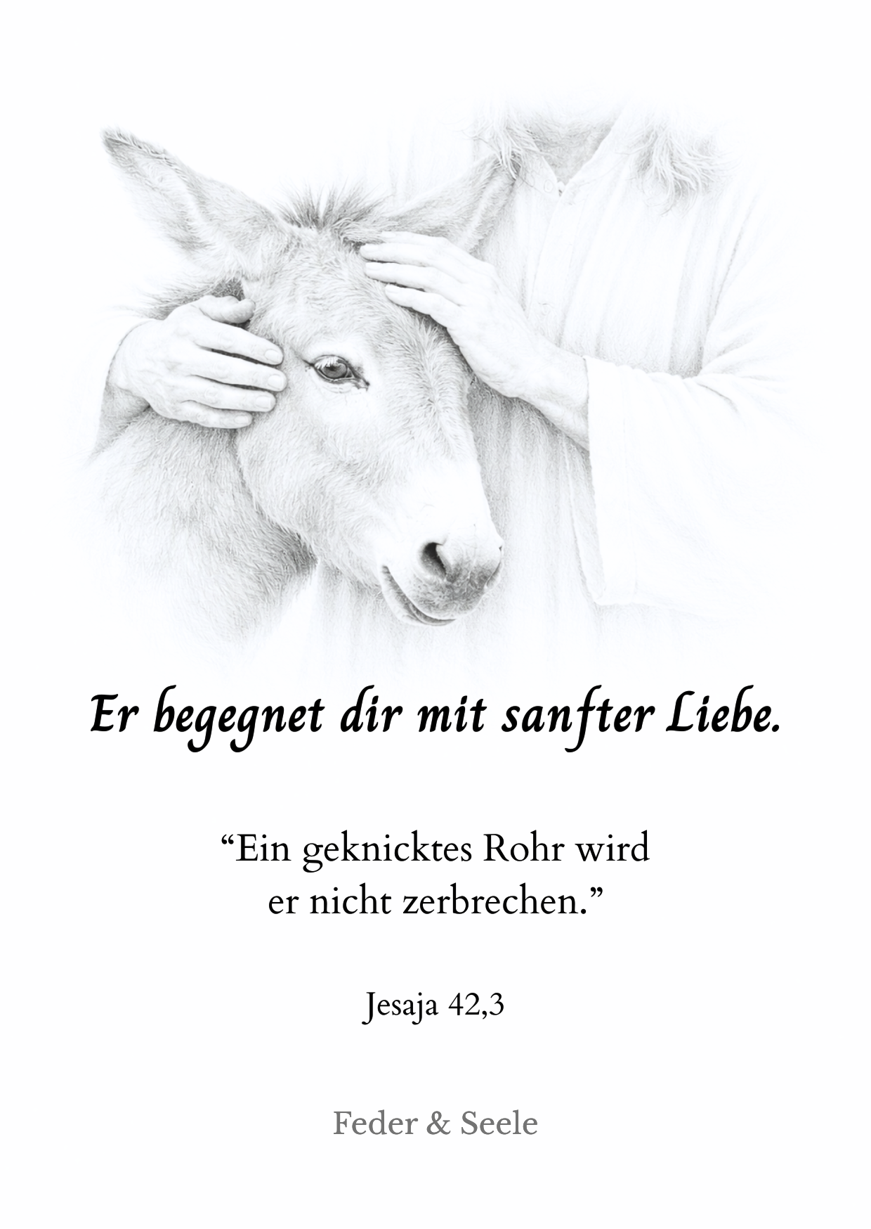 Feder & Seele - Haltkarten-Set Vol. 2 (10 Gottes Zusagen |  PDF-Download)