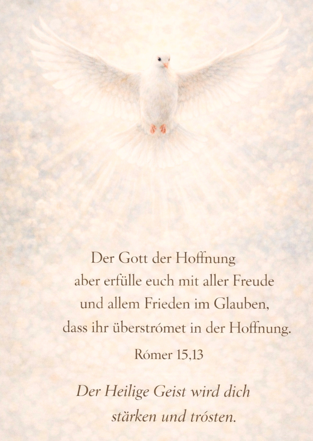 Feder & Seele - Glaubensimpulskarten - Dein stiller Begleiter (15 Herzensbotschaften |  PDF-Download)