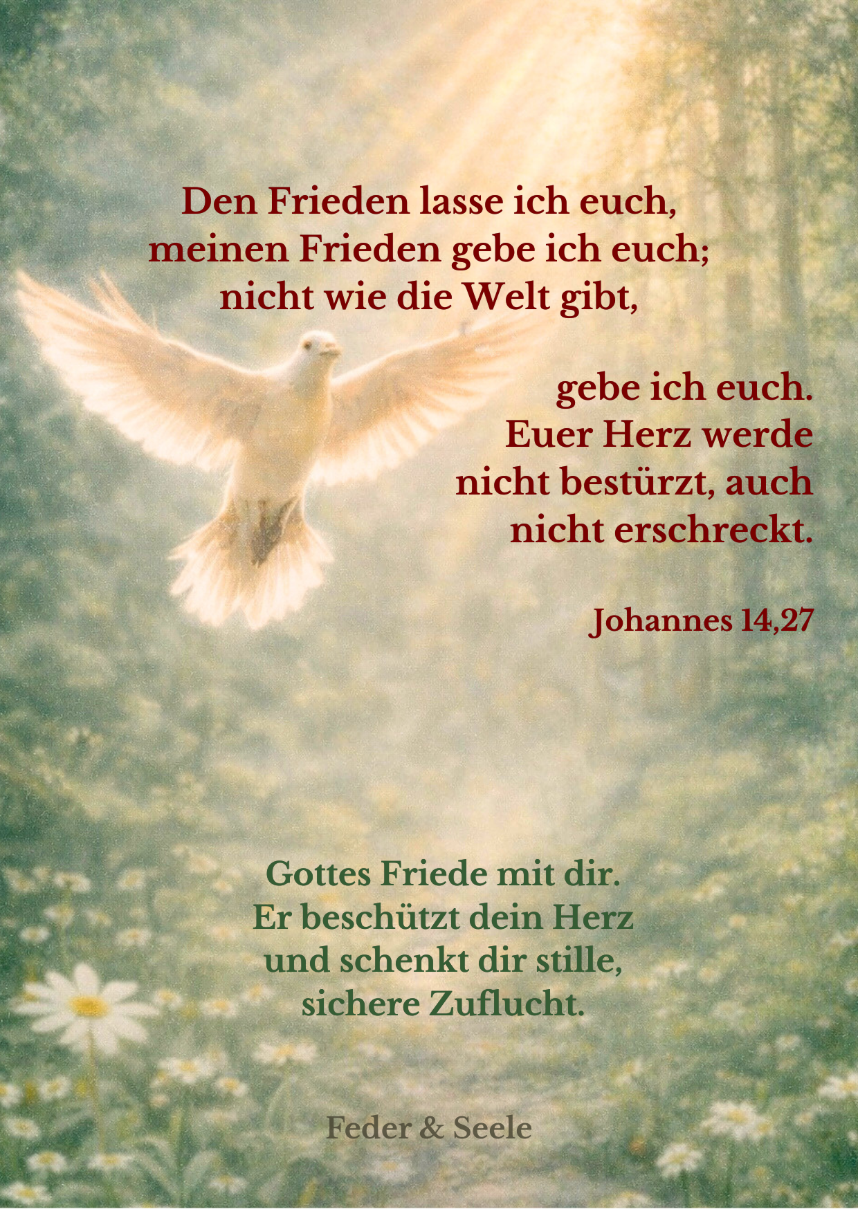 Feder & Seele - Lichtkarten-Set (10 Zusagen |  PDF-Download)