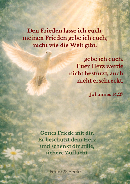 Feder & Seele - Lichtkarten-Set (10 Zusagen |  PDF-Download)