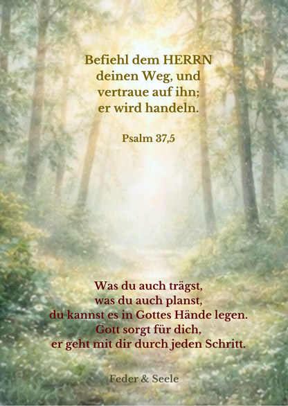 Feder & Seele - Lichtkarten-Set (10 Zusagen |  PDF-Download)
