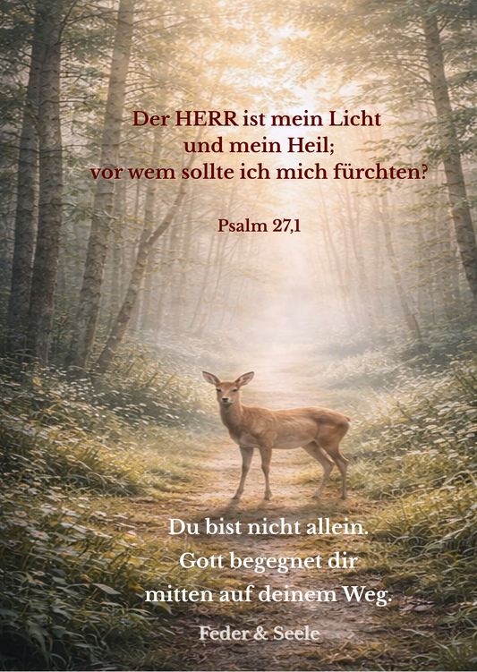 Feder & Seele - Lichtkarten-Set (10 Zusagen |  PDF-Download)