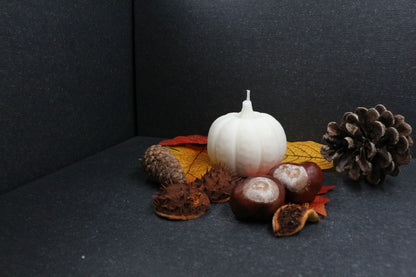 Seelenkerze - Sojawachs - Hebst-und Weihnachtsedition